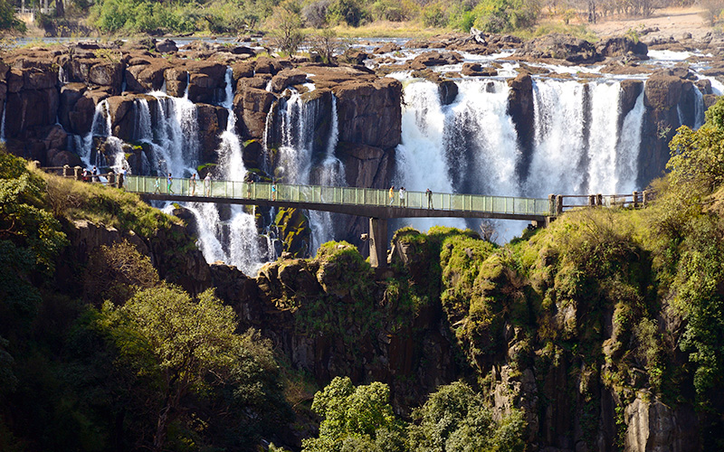 Discovery- of- Victoria -Falls