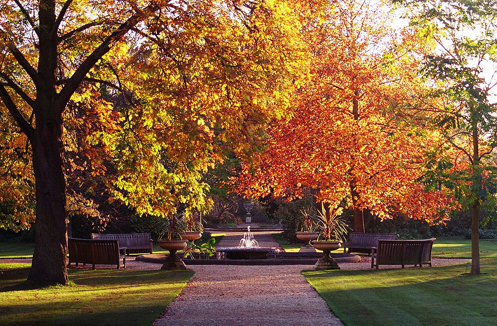 Oxford_Botanical_Garden